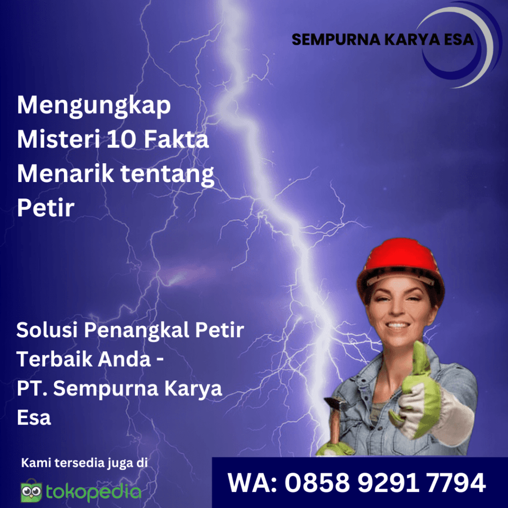 10 fakta petir menarik