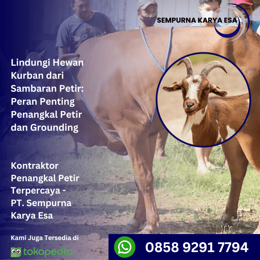 peran penting penangkal petir untuk lindungi hewan dari sambaran petir sempurna karya esa cara melindungi hewan kurban dari petir