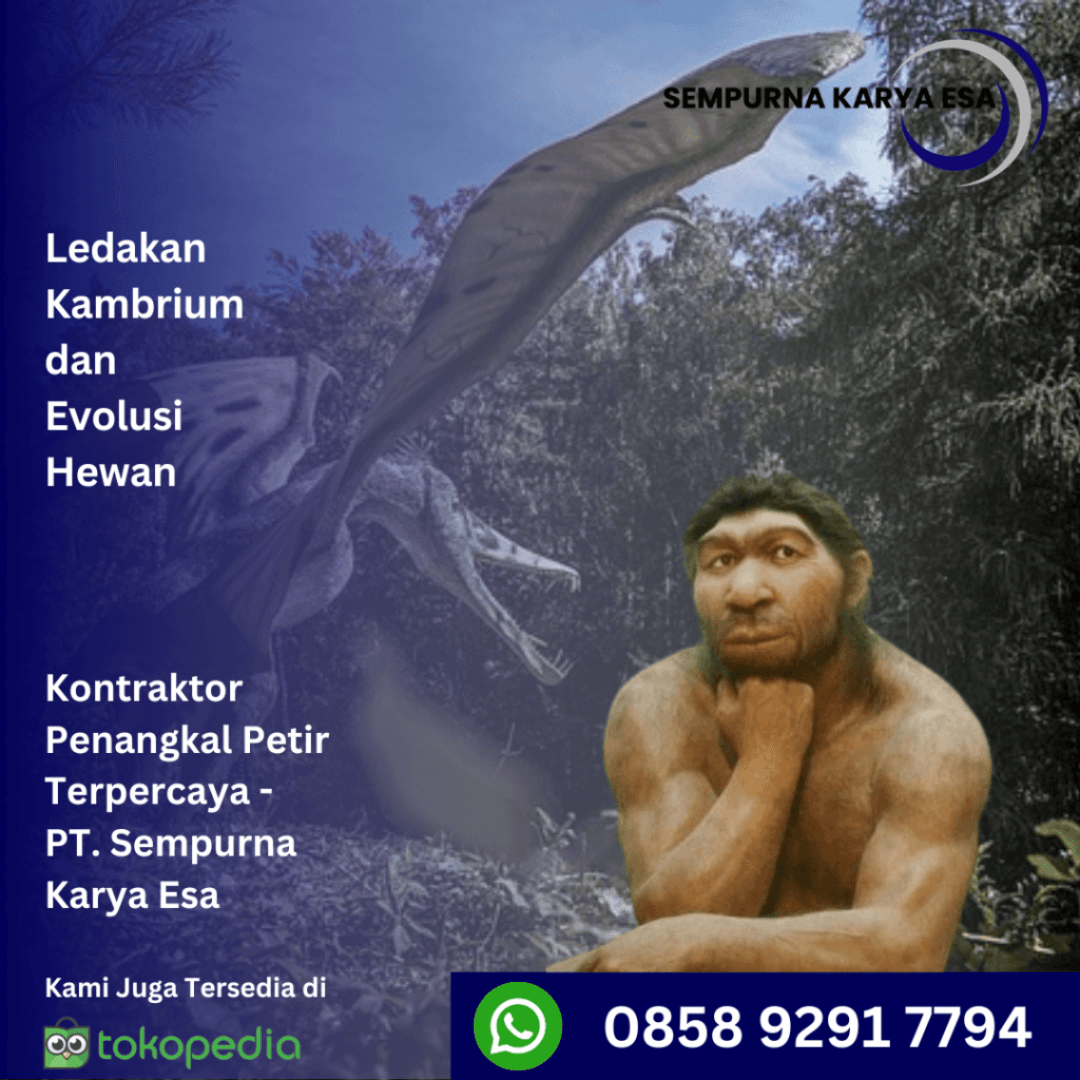ledakan kambrium dan evolusi hewan sempurna karya esa