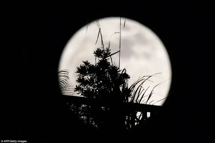 Supermoon di Hongkong (Foto: Dailymail UK)