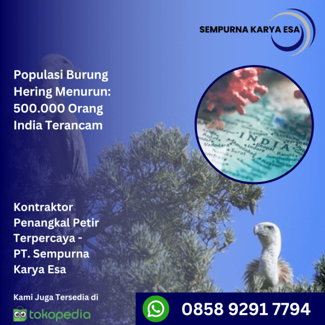 populasi burung hering menurun setengah juta orang india terancam artikel sempurna karya esa