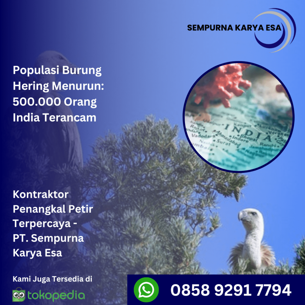 populasi burung hering menurun setengah juta orang india terancam artikel sempurna karya esa