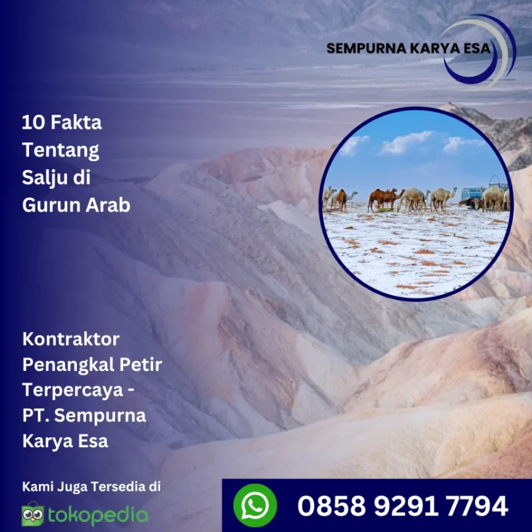 10 fakta tentang salju di gurun arab