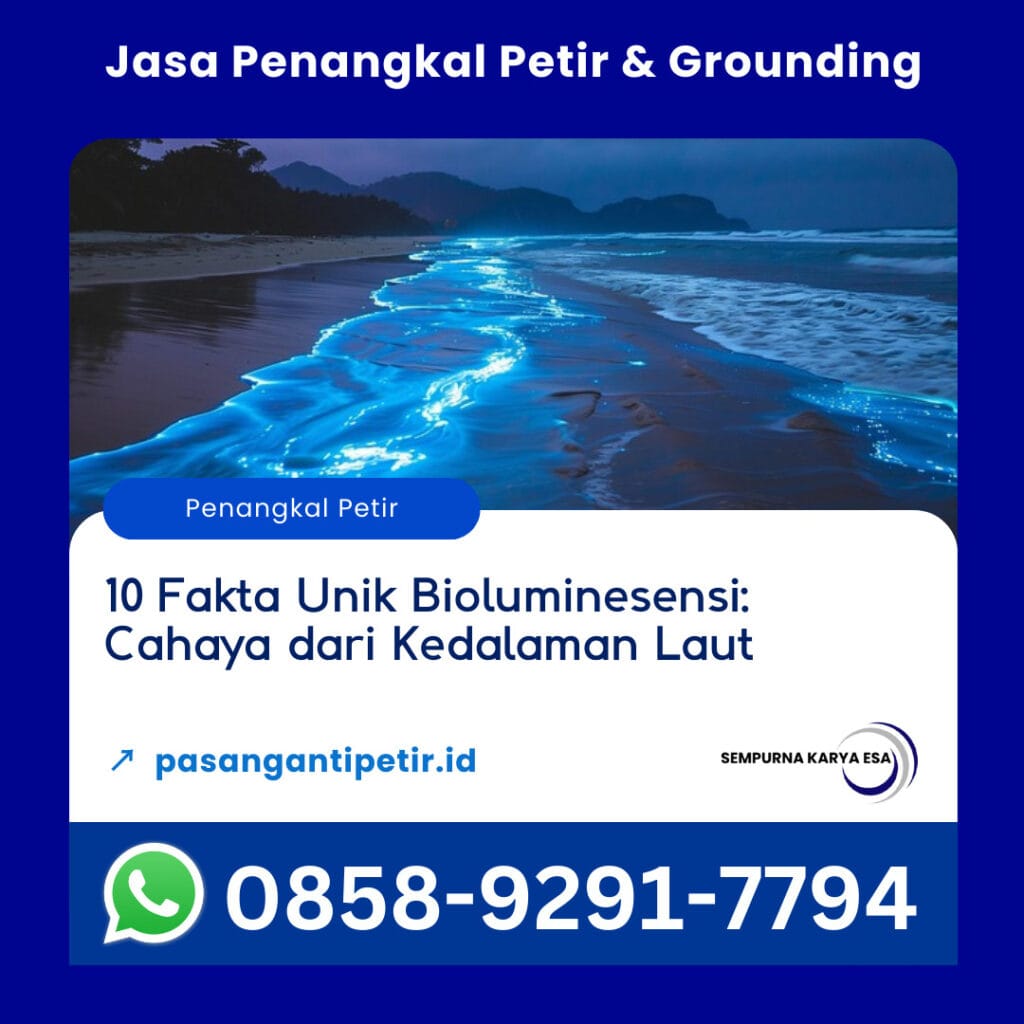 10 fakta unik bioluminesensi artikel fenomena alam sempurna karya esa 085892917794