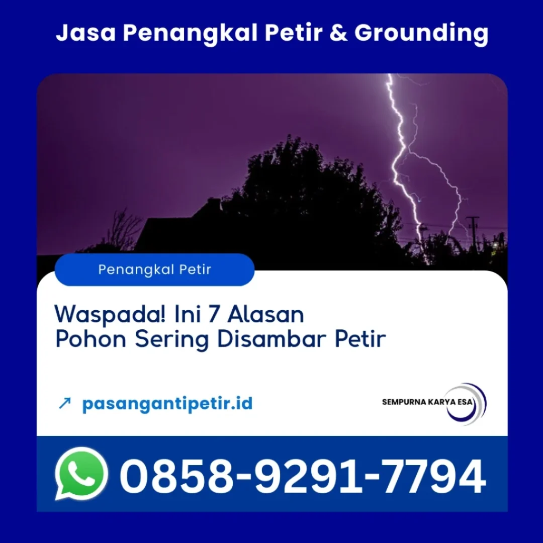 waspada ini 7 alasan pohon rawan tersambar petir