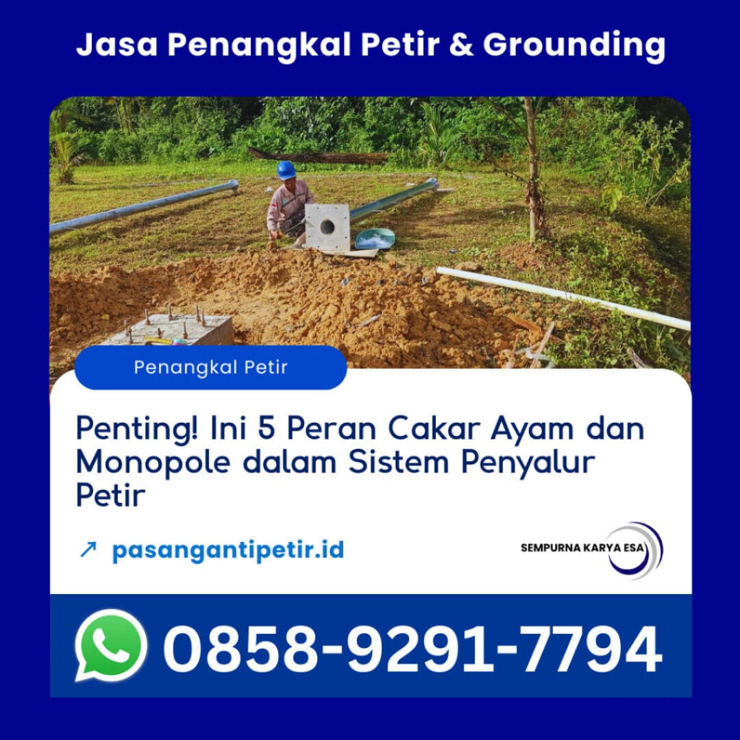 penting ini 5 peran cakar ayam dan monopole artikel sempurna karya esa