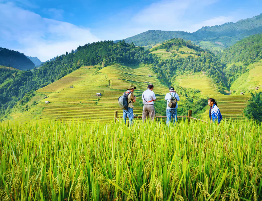 penangkal petir untuk pertanian apakah itu perlu jasa penangkal petir dan grounding pt sempurna karya esa