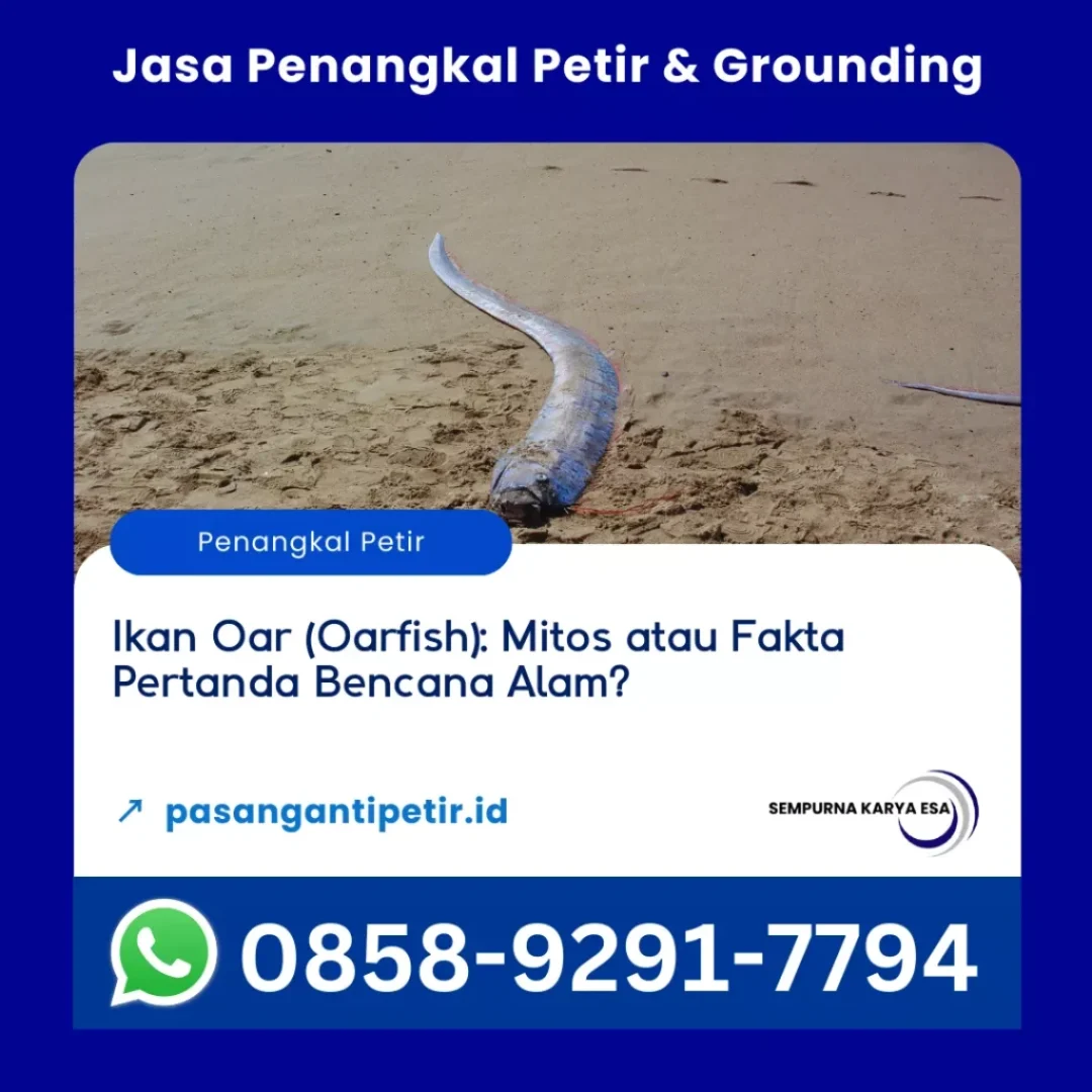 ikan oar mitos atau fakta pertanda bencana alam artikel pt sempurna karya esa hubungi 085892917794