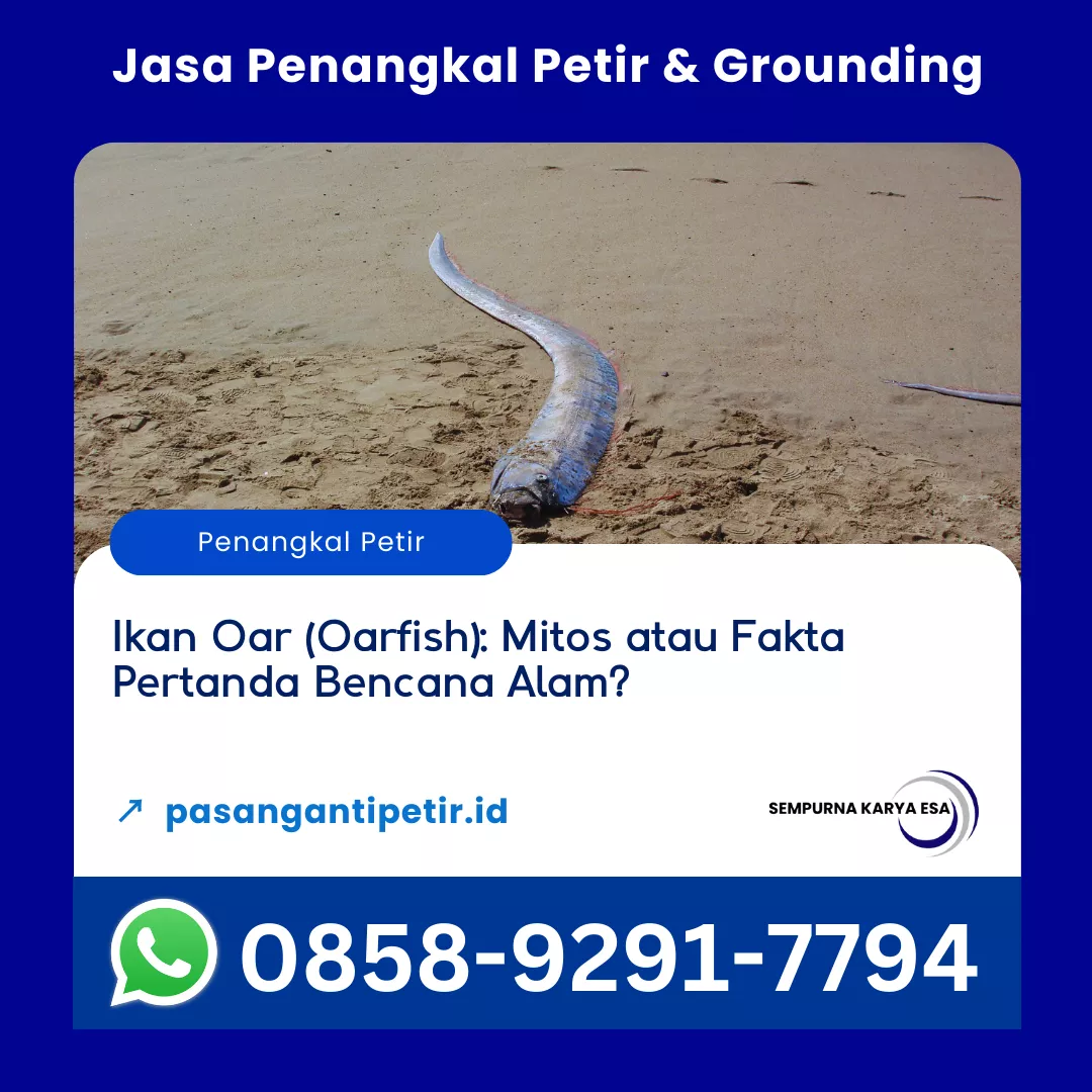 ikan oar mitos atau fakta pertanda bencana alam artikel pt sempurna karya esa hubungi 085892917794