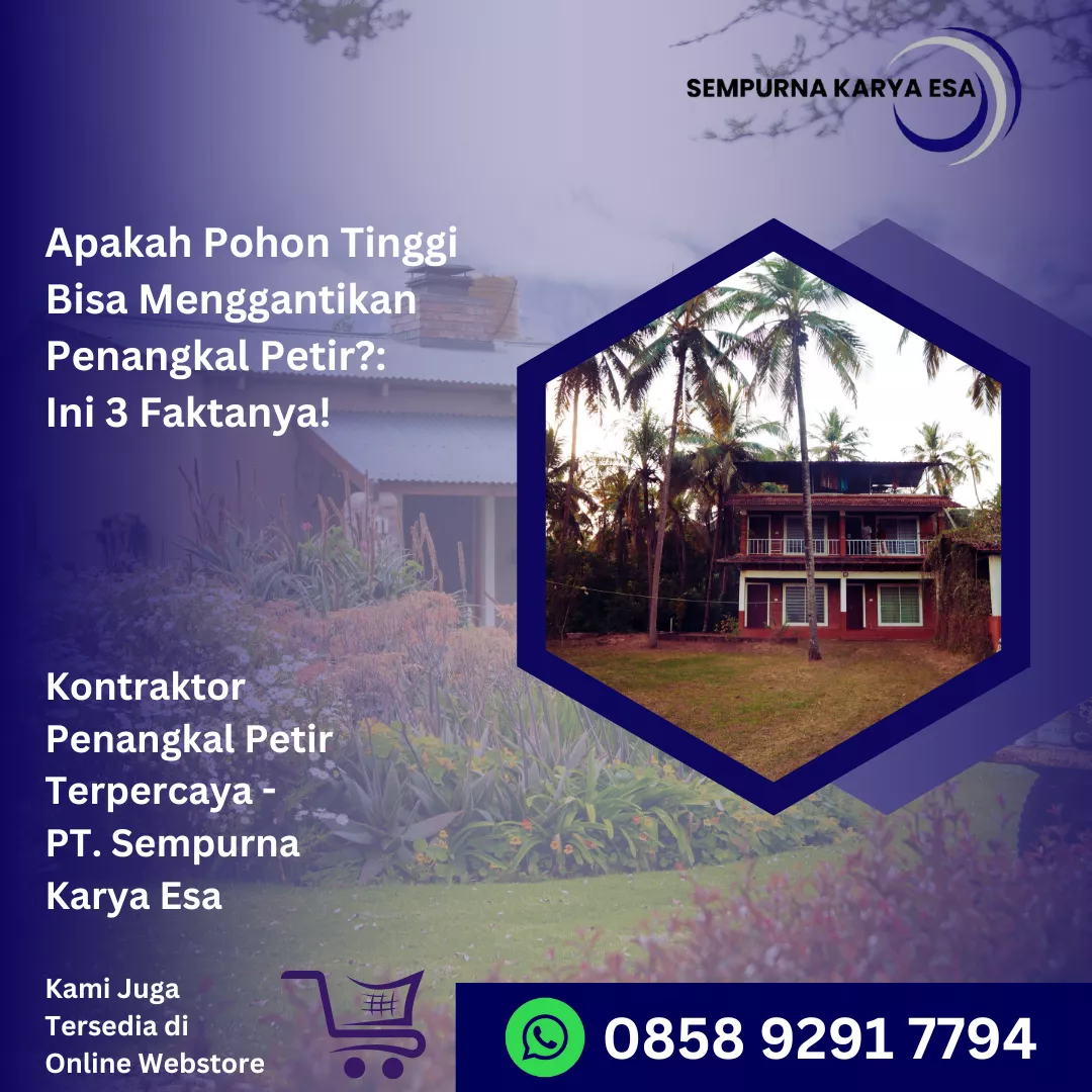 apakah pohon tinggi bisa menggantikan penangkal petir artikel pt sempurna karya esa kontraktor penangkal petir profesional bersertifikat hubungi 085892917794