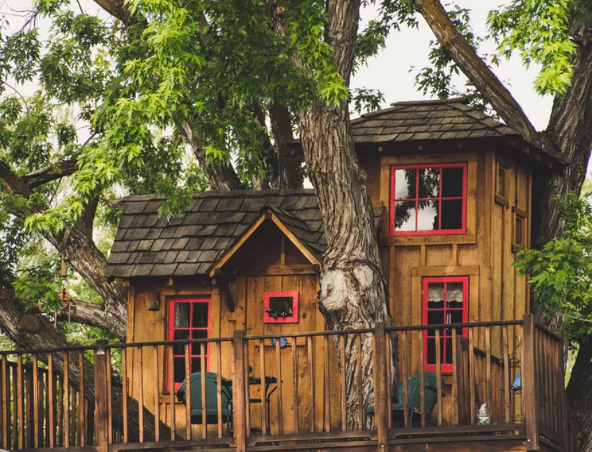 apakah pohon tinggi bisa menggantikan penangkal petir artikel pt sempurna karya esa kontraktor penangkal petir profesional bersertifikat